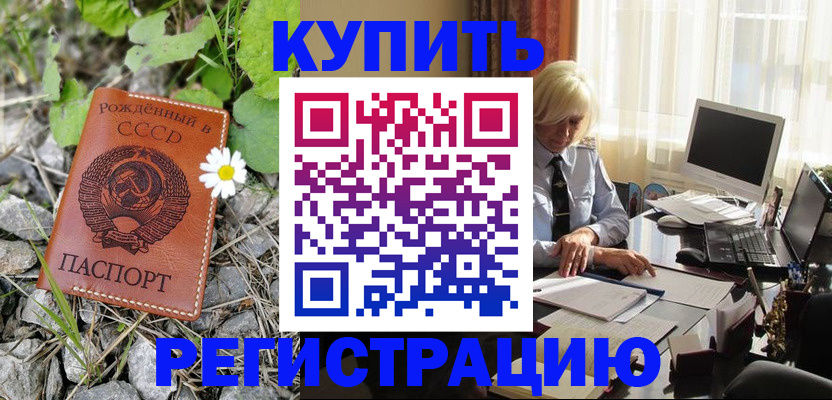 временная регистрация недорого в Пионерском